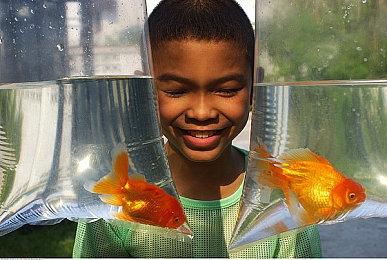 Atlus发文感谢玩家支持 敬请期待《女神异闻录》新阶段